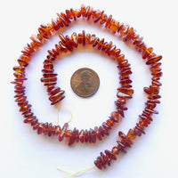 Amber Baltic, Chips, Medium (6-8mm) on 16" Strand
