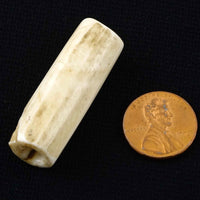 Naga, Shell Bead, Antique Chank Medium Tube 1 1/2 x 1/2"