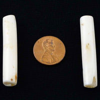 Naga, Shell Beads, Antique Chank Pair of Slim Tubes 1 3/4 x 3/8"