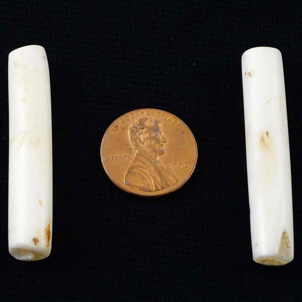 Naga, Shell Beads, Antique Chank Pair of Slim Tubes 1 3/4 x 3/8"