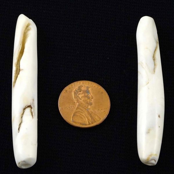 Naga, Shell Beads, Antique Chank Pair of Slim Tubes 2 3/8 x 3/8"