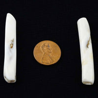 Naga, Shell Beads, Antique Chanm Pair of Slim Tubes, 2 x 5/16"