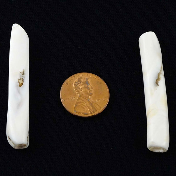 Naga, Shell Beads, Antique Chanm Pair of Slim Tubes, 2 x 5/16"