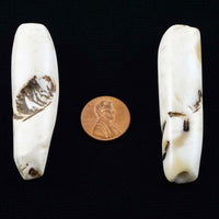 Naga, Shell Beads, Antique Chank Pair of Large Tubes 2 3/8 x 7/16"