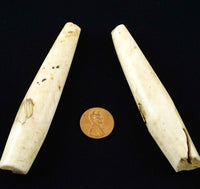 Naga, Shell Beads, Antique Chank Pair of Large Tubes 3 5/8 x 3/4"