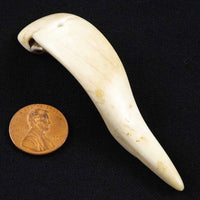 Naga Shell Slice, Antique, Narrow 5/8 x 3 inches