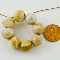 Opalized Palmwood, Vintage, 12mm Round Beads, Bag of 8