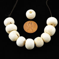 Himalayan Chank Shell, Antique Medium Rounded Beads 10-11 x 14mm, Bag of 10
