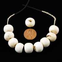 Himalayan Chank Shell, Antique Medium Large Rounded Beads 11-12x15mm, Bag of 10
