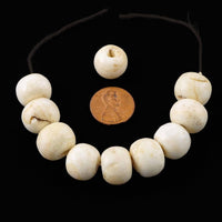 Himalayan Chank Shell, Antique Large Rounded Beads 13x16mm, Bag of 10