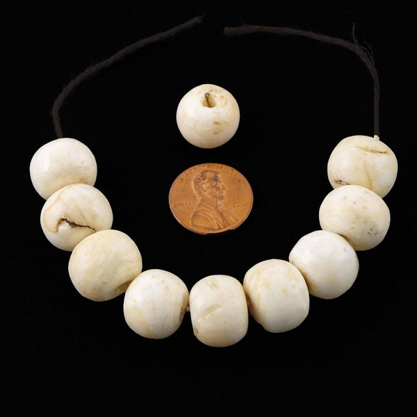 Himalayan Chank Shell, Antique Large Rounded Beads 13x16mm, Bag of 10