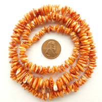 Spondylus (Thorny or Spiney Oyster) Shell Chips, Orange, Graduated 4-10mm on 22-inch Strands